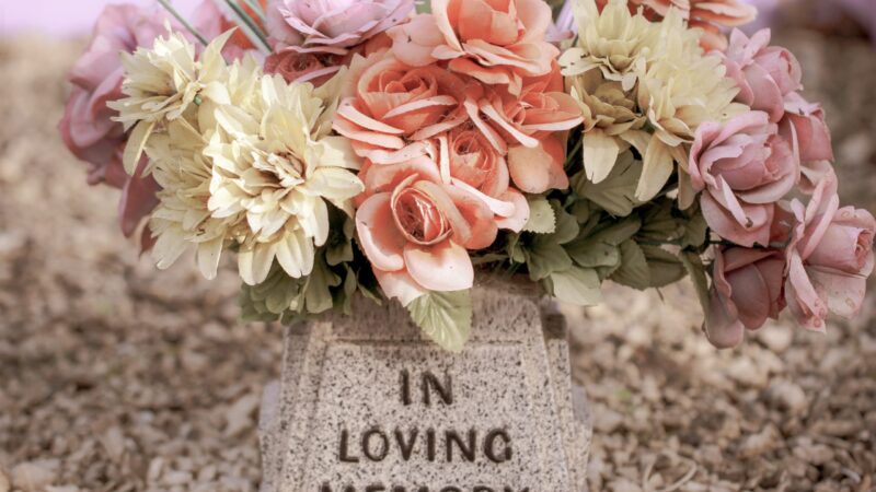 In loving memory
