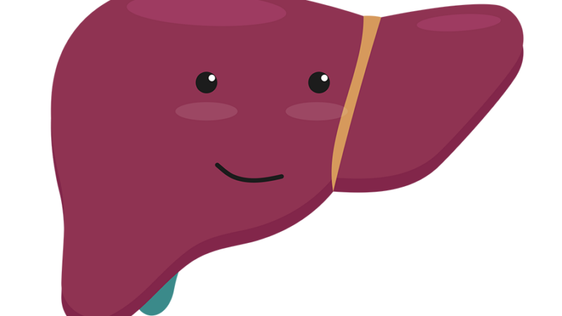 Illustration of a happy liver